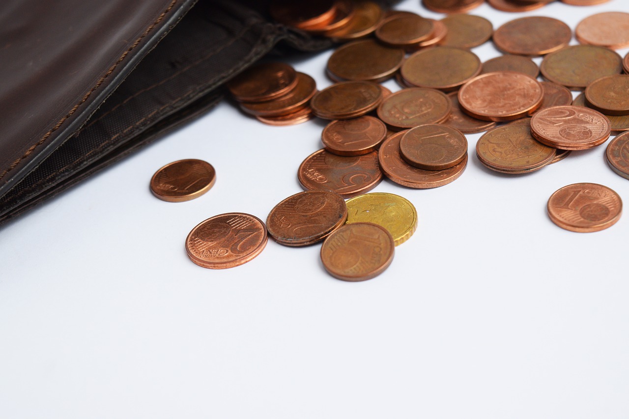 wallet with coins